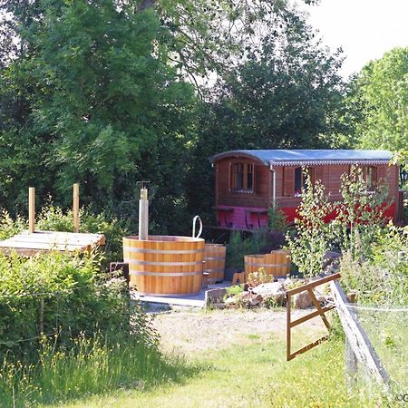 Maison Isolee Avec Spa Nordique, Piscine Et Jardin Privatif Au Coeur De La Nature - Fr-1-497-116 Villa La Lande-de-Goult Buitenkant foto